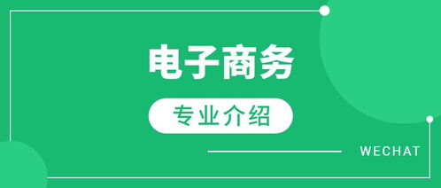 单招电子商务专业是什么